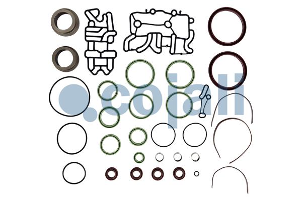 Pakkingset Cojali 6012402