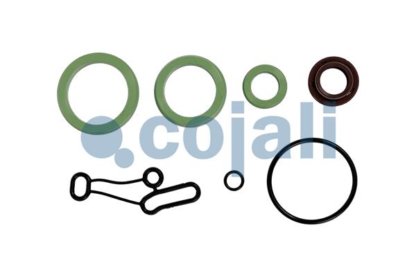 Pakkingset Cojali 6012403