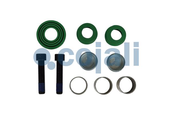 Remklauw revisie Cojali 6082024