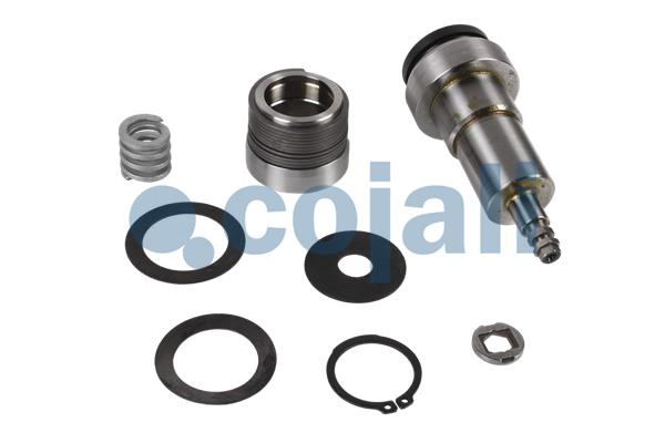 Remklauw revisie Cojali 6082503