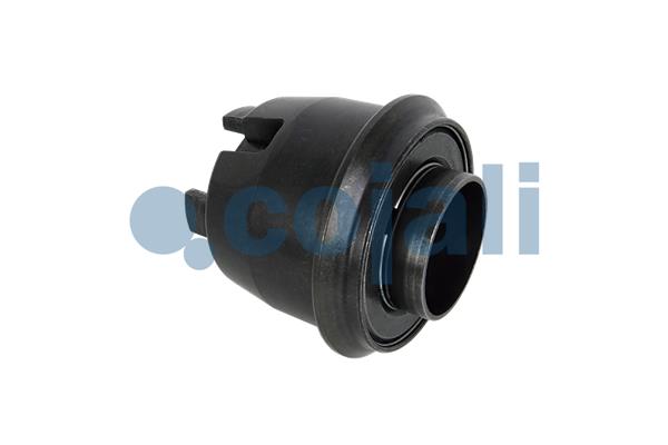 Remklauw revisie Cojali 6083012