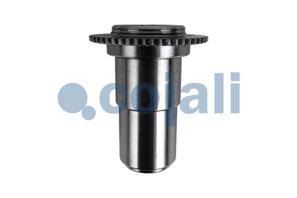 Remklauw revisie Cojali 6083014