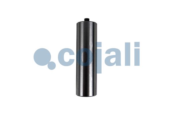 Remklauw revisie Cojali 6083018