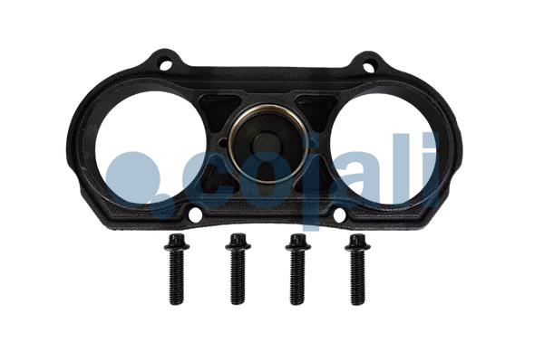 Remklauw revisie Cojali 6083021