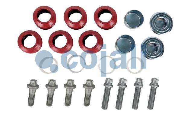 Remklauw revisie Cojali 6083024