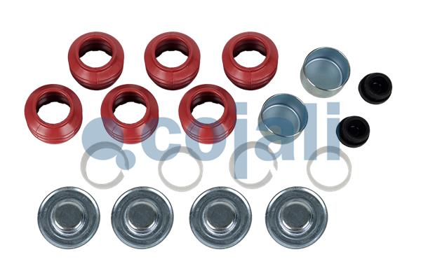 Remklauw revisie Cojali 6083025