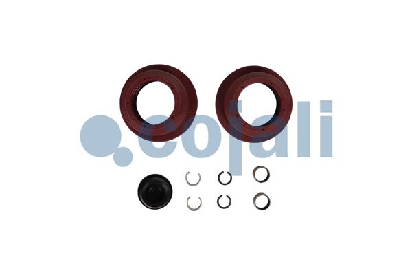 Remklauw revisie Cojali 6083030