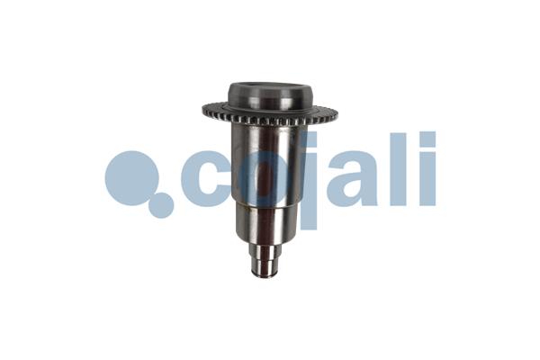 Remklauw revisie Cojali 6083042