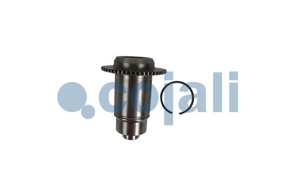 Remklauw revisie Cojali 6083043