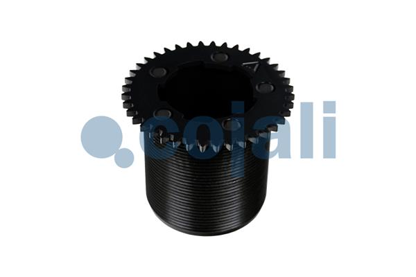 Remklauw revisie Cojali 6083053