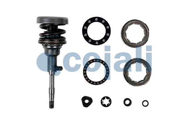 Remklauw revisie Cojali 6083055