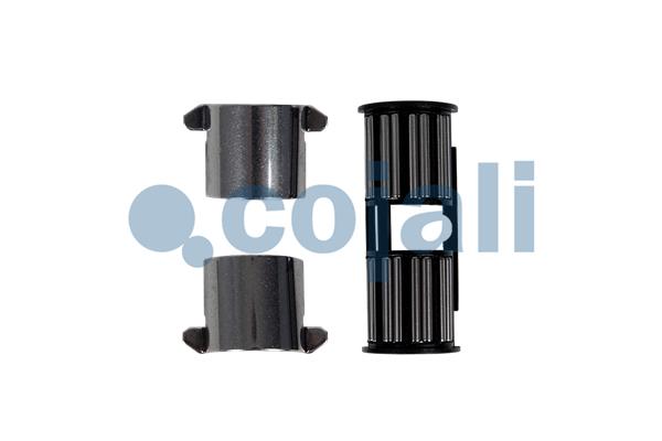 Remklauw revisie Cojali 6083056