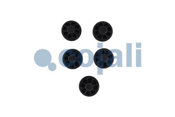 Remklauw revisie Cojali 6083060