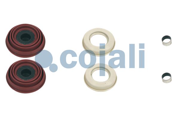 Remklauw revisie Cojali 6084001