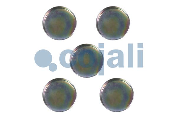 Remklauw revisie Cojali 6084008