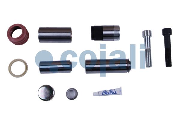 Remklauw revisie Cojali 6084009