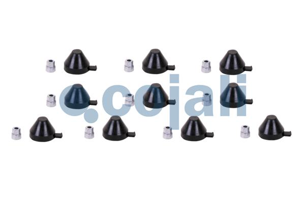 Remklauw revisie Cojali 6084013