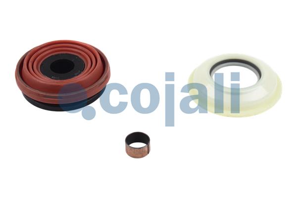 Remklauw revisie Cojali 6084020