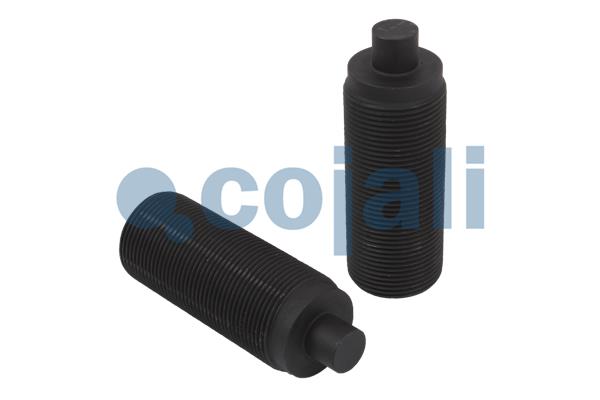 Remklauw revisie Cojali 6084520