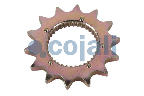 Remklauw revisie Cojali 6084522