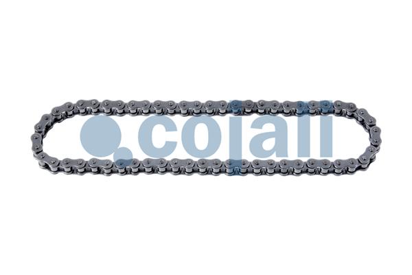 Remklauw revisie Cojali 6084525