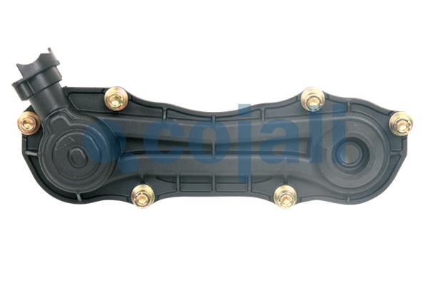 Remklauw revisie Cojali 6084526