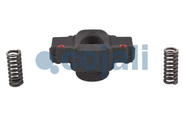 Remklauw revisie Cojali 6084542