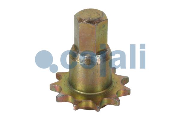 Remklauw revisie Cojali 6084546