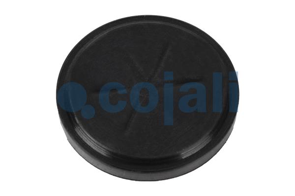 Remklauw revisie Cojali 6084563