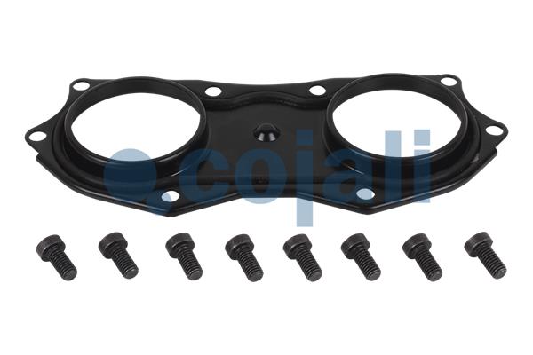 Remklauw revisie Cojali 6084564