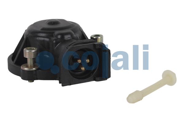 Remklauw revisie Cojali 6084570