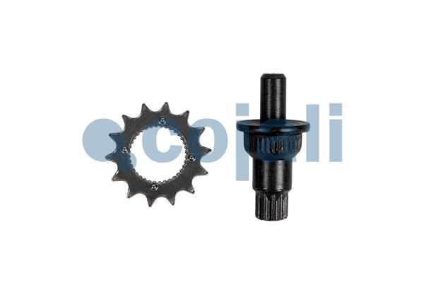 Remklauw revisie Cojali 6084577