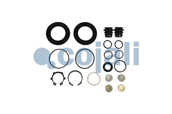 Remklauw revisie Cojali 6085012