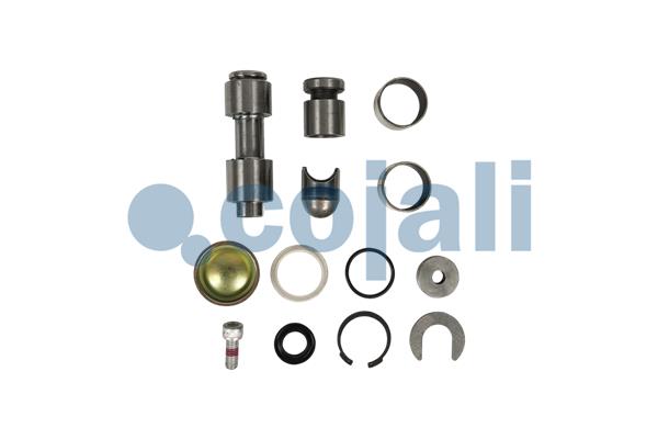 Remklauw revisie Cojali 6085017