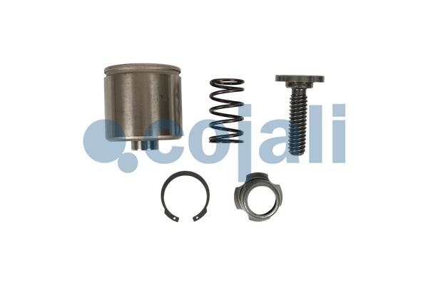 Remklauw revisie Cojali 6085019