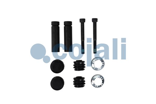 Remklauw revisie Cojali 6085028