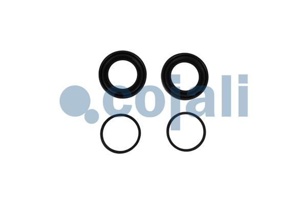 Remklauw revisie Cojali 6085030