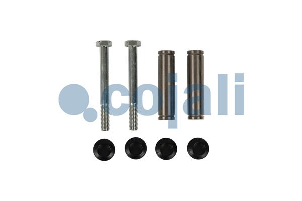 Remklauw revisie Cojali 6085031