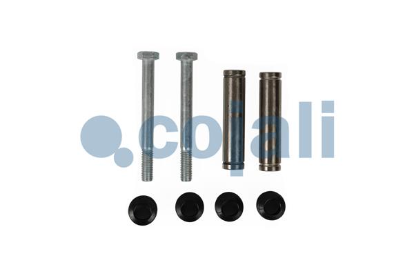 Remklauw revisie Cojali 6085032