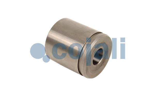 Remklauw revisie Cojali 6085501