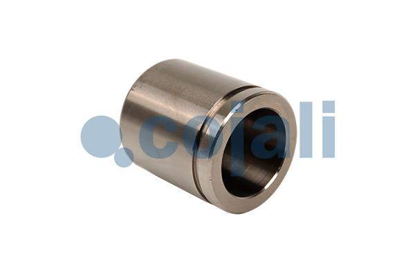 Remklauw revisie Cojali 6085502