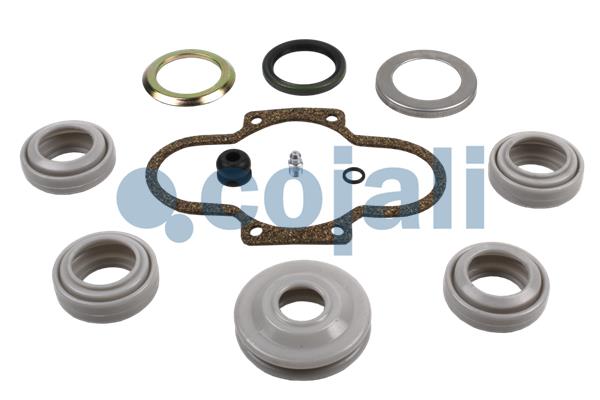 Remklauw revisie Cojali 6086001