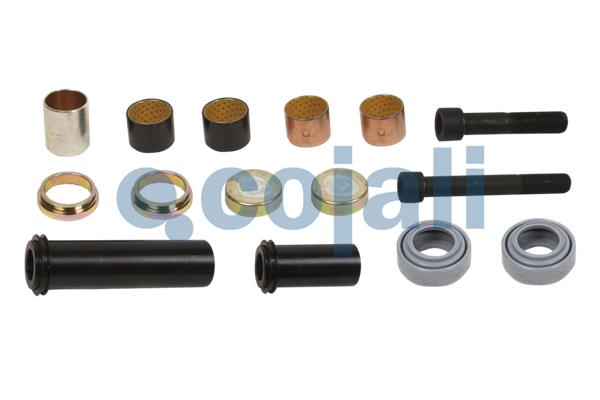 Remklauw revisie Cojali 6086014