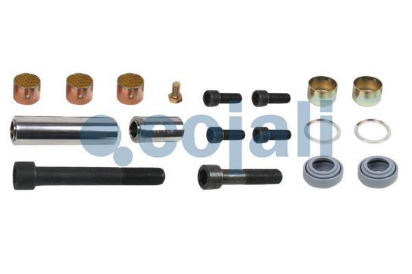 Remklauw revisie Cojali 6086016