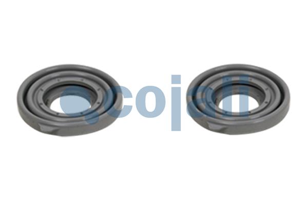 Remklauw revisie Cojali 6086017