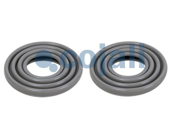 Remklauw revisie Cojali 6086020