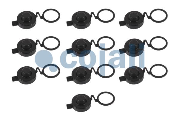 Remklauw revisie Cojali 6086053