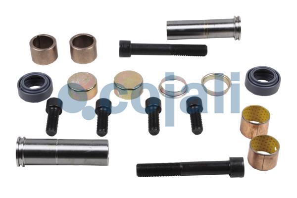 Remklauw revisie Cojali 6086058