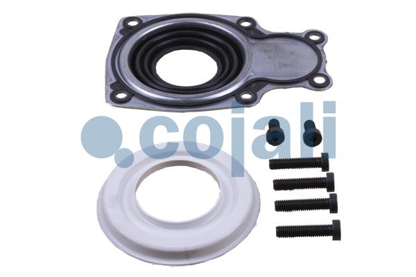 Remklauw revisie Cojali 6086068