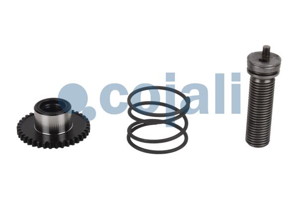 Remklauw revisie Cojali 6086081